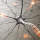 Illustration for article titled Out of energy? Slow down your brain.